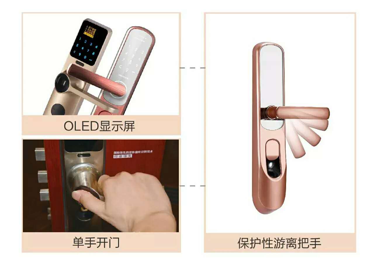 ?？低曋悄苕iOLED顯示屏與密碼觸摸屏